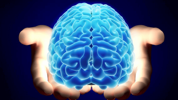 ¿Por qué NO estamos cometiendo Falacias en nuestro razonar?